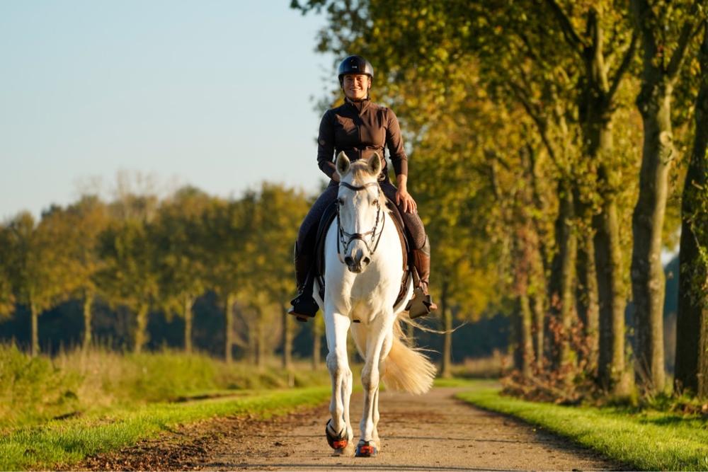 Hoefschoenen voor buitenritten en recreatie