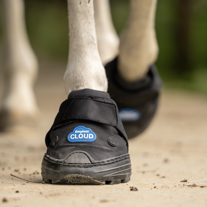 Therapie en revalidatie hoefschoenen