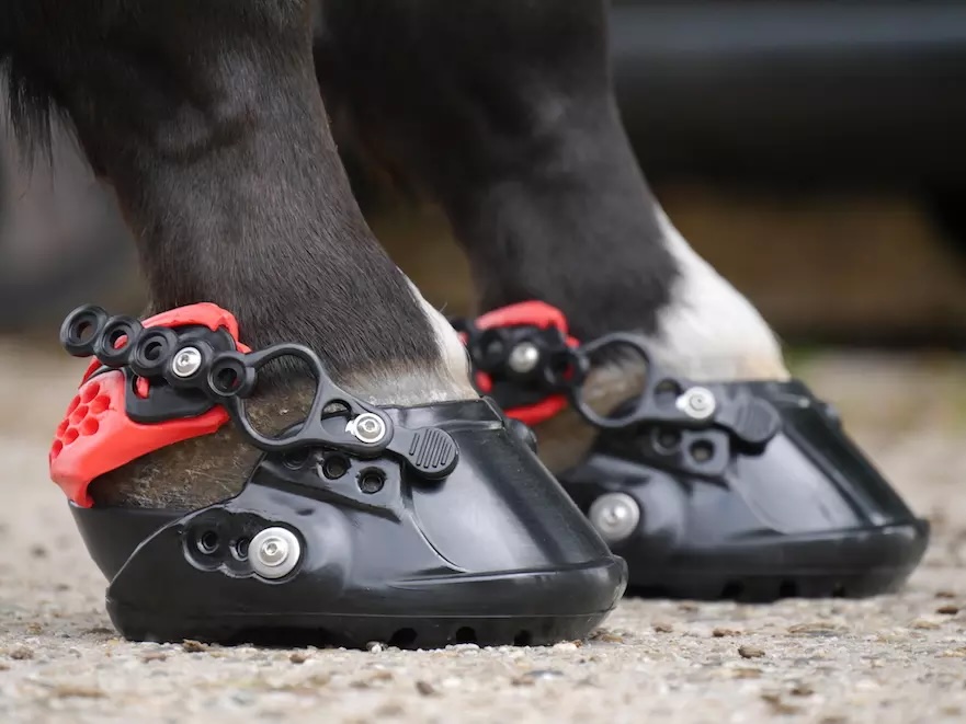 Smalle lange hoefvorm