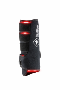 Equine LED beenpad