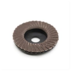 hoof boss rasp-50 Grit Buffing Sander Disc