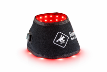 Equine LED light therapy pads-Hoof set