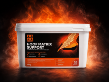Hoof Matrix Support