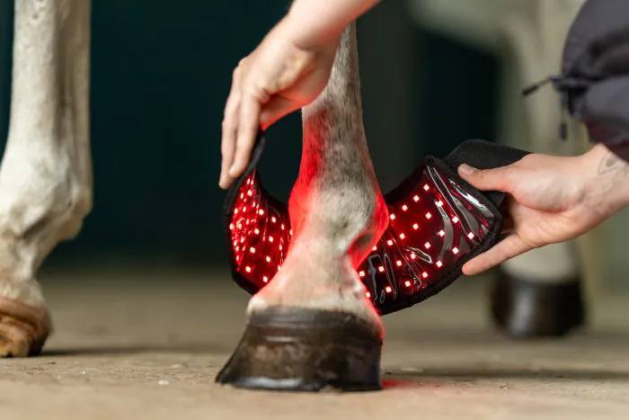 Equine LED Light Therapy Pads voor de hoef