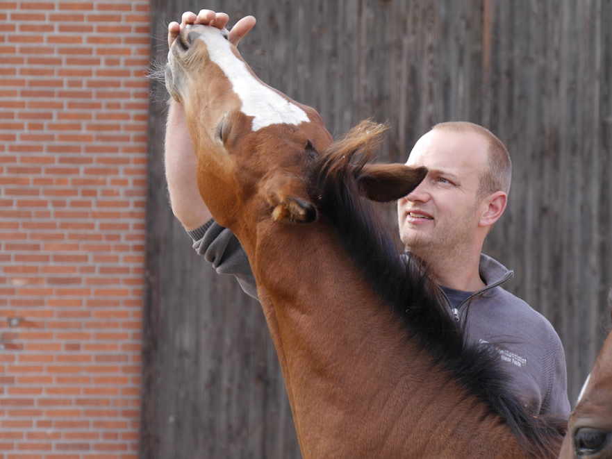 Hoefspecialist Klaas Feuth deskundig in corrigeren beenstand veulen
